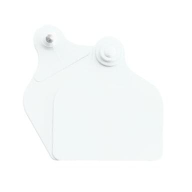 Ear tag Maxi + Maxi (71 mm x 63 mm) | 20 pieces | white