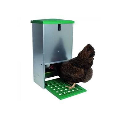 Futterautomat für Hühner Feedomatic mit Trittplatte | 5kg | verzinkt