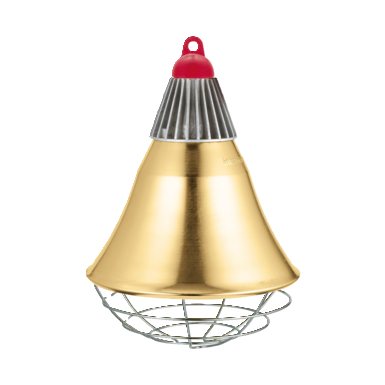 interHeat Schutzkorb für Infrarotlampe | 250 W | 5 m Kabel